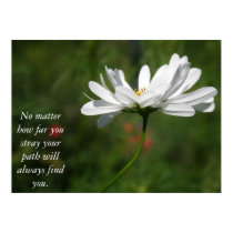 Poster - Your path will always find you posters