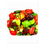 Posterised Hot Pepper Assortment Picture Post Cards