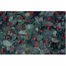 Pot-pourri texture photo cutout