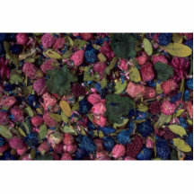 Pot-pourri texture photo cutouts