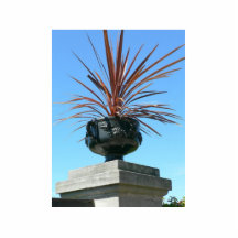 Pot With Red Plant Photo Sculptures