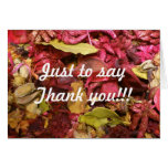 Potpourri Note Card