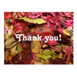 Potpourri Postcard