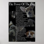 Power of the Dog Poster (large)