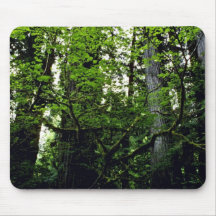 Prairie Creek Mouse Pads