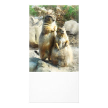 Prairie Dog Formal Portrait Photo Card Template