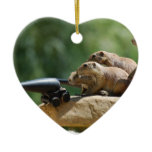 Prairie Dog Soldiers Ornament ornaments