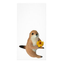 prairie dog's stuffed toy custom photo card