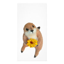 prairie dog's stuffed toy photo greeting card