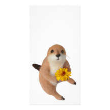 prairie dog's stuffed toy picture card