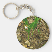 Prairie lady's slipper keychains