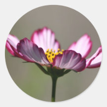 Praise Him Flower Round Stickers