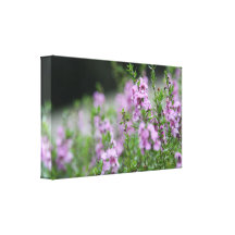 Praise Stretched Canvas Prints