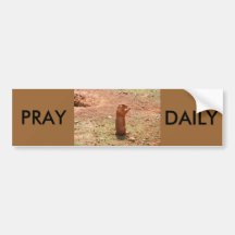 PRAY, DAILY BUMPER STICKERS