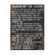 prayer of the woods post card