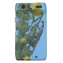 Praying Mantis Pair on Clary Sage Plant Motorola Droid RAZR Case