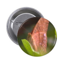 Precious Butterfly Pinback Button