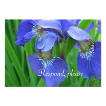 Pretty blue iris flowers wedding RSVP respond card