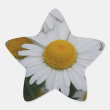 Pretty Daisies Sticker