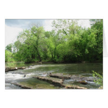 Pretty Day Greeting Cards
