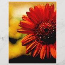 Pretty Detail of a Red Flower Full Colour Flyer