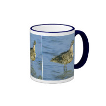 Pretty Feathers Mug