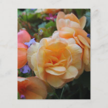 Pretty Flowers. Custom Flyer