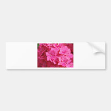 Pretty in Pink Bumper Sticker