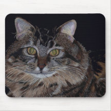 Pretty Maine Coon Cat Mousemats