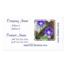 Pretty Morning Glories Business Cards