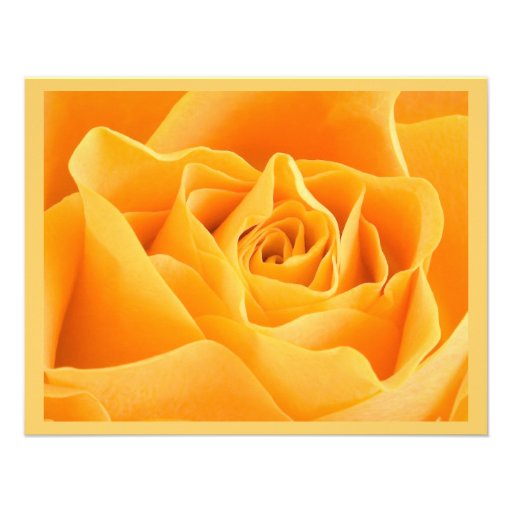 Pretty Orange Rose Invite