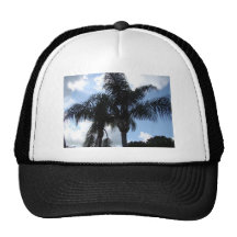 Pretty Palms Hats