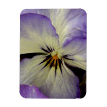 Pretty Pansy  Premium Magnet