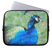 Pretty Peafowl Laptop Sleeve