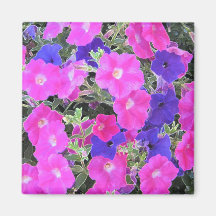 PRETTY PETUNIAS REFRIGERATOR MAGNET