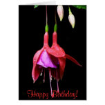 Pretty Pink Fuschia Greetings Card