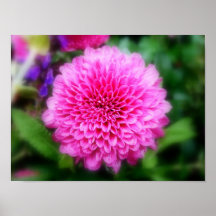Pretty Pink Mum Print