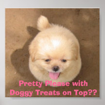Pretty Please with Doggy Treats on Top?? Posters