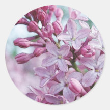 Pretty Purple Lilacs Round Sticker