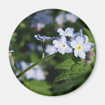 Pretty purple petal flower magnet