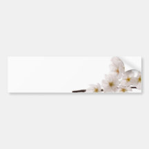 Pretty White Cherry Blossoms Bumper Sticker