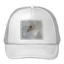 Pretty White Peacock Baseball Hat