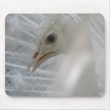 Pretty White Peacock Mouse Pad