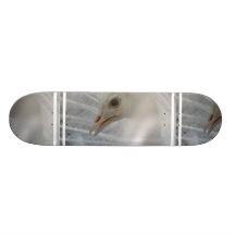 Pretty White Peacock Skateboard