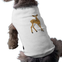 pretty white-tailed baby deer standing doggie tee shirt