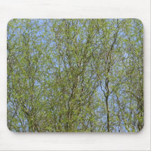 Pretty Willow Leaves Mouse Pads