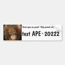 Prevention: Great Ape Extinction Bumper Stickers