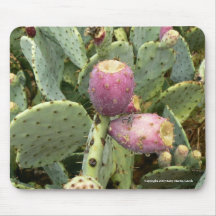Prickly Pear Mouse Pad