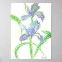 Print - Japanese Irises
