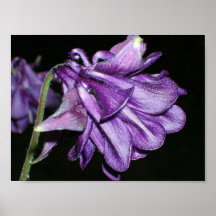Print on canvas